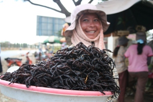 Fried spiders, Cambodia